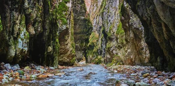 Autumnal panorama of a river in a gorge — Stock Photo, Image