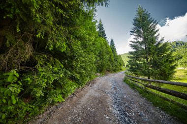 Dağlardaki Toprak Yol