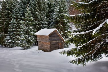 Kışın ahşap kulübe