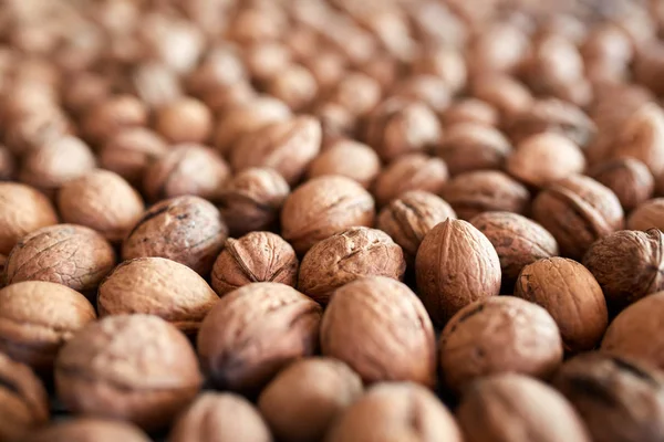 Closeup of many walnuts — Stock Photo, Image