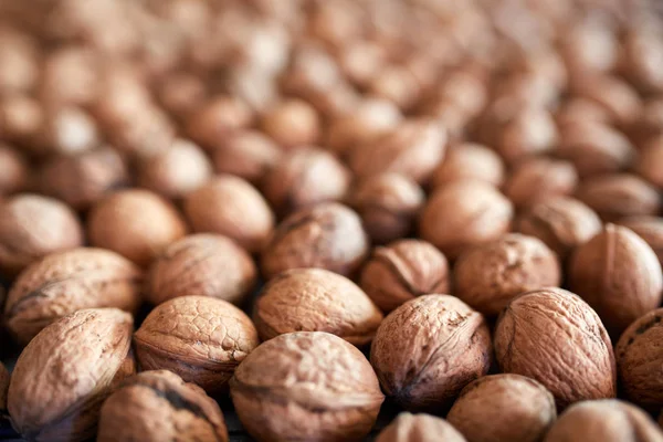Closeup mnoha vlašské ořechy — Stock fotografie