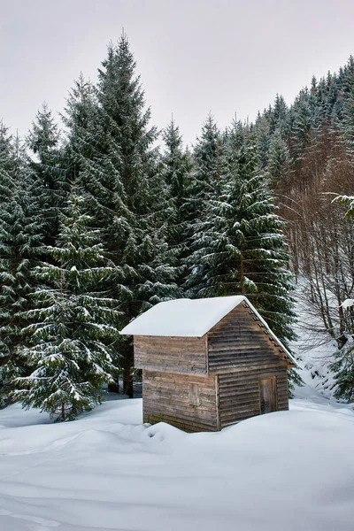 Cabane en bois en hiver — Photo