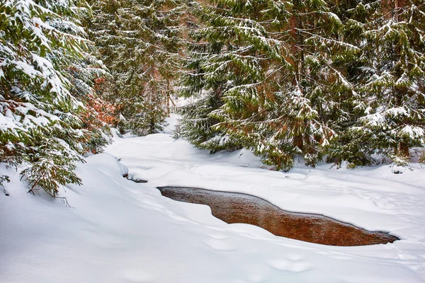 Horská řeka v zimě — Stock fotografie