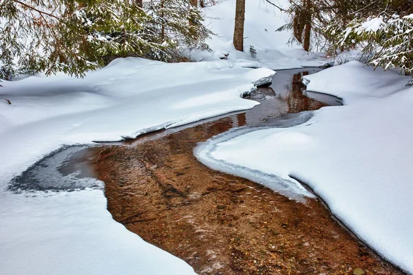 Kışın dağ nehri — Stok fotoğraf