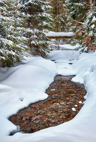 Río de montaña en invierno —  Fotos de Stock