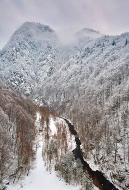 Dağlı kış manzarası 