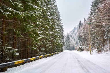 Dağlarda karlı bir yol