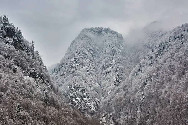 Χειμερινό τοπίο των Άλπεων — Φωτογραφία Αρχείου