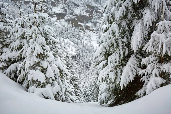 Invierno paisaje alpino — Foto de Stock