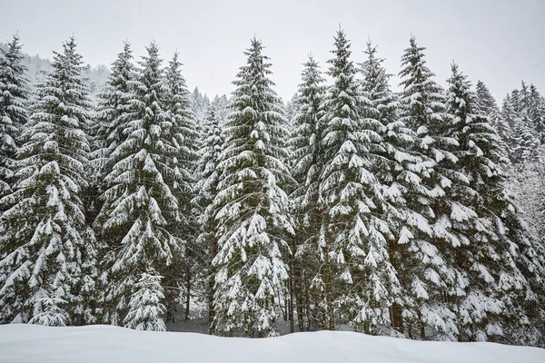 Alpine Winterlandschaft — Stockfoto