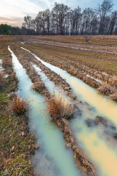 Solo agrícola com marcas de pneus — Fotografia de Stock