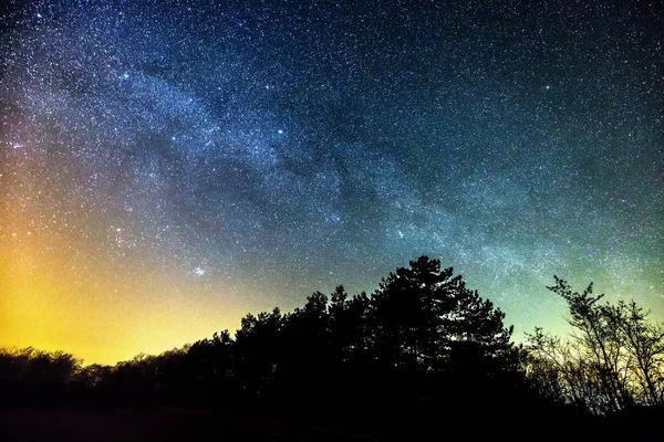 Sternenklare Nacht über dem Wald — Stockfoto