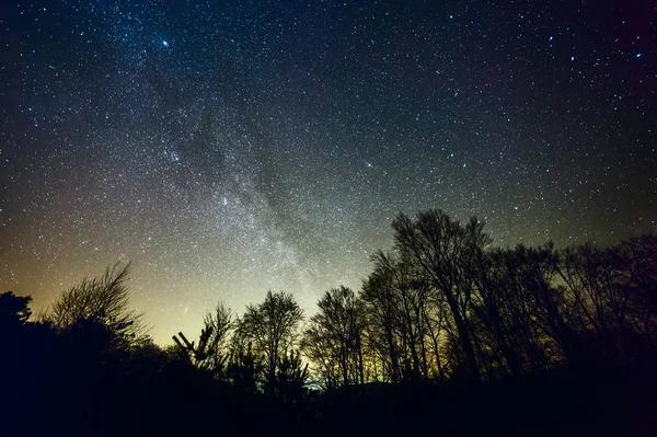 Notte stellata sopra la foresta — Foto Stock