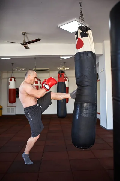 Combatiente Kickbox con saco de boxeo —  Fotos de Stock