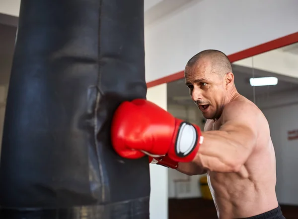 Boxer met zware tas — Stockfoto