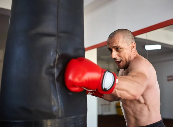 Boxer with heavy bag — Stock Photo, Image