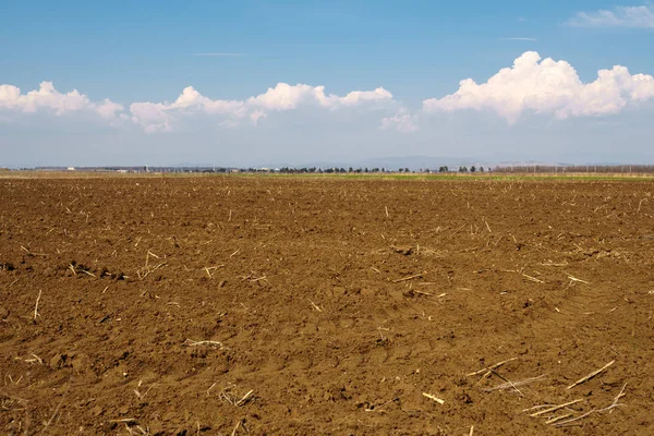 Plöjs marken under blå himmel — Stockfoto