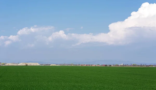 Champ d'herbe avec nuages et ciel — Photo