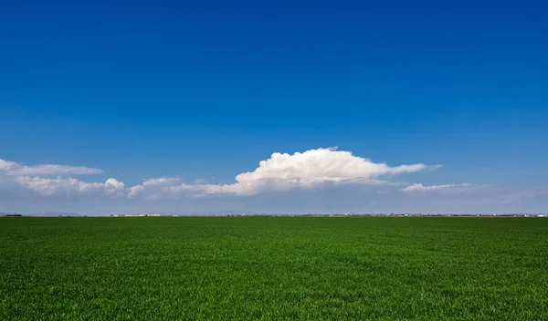 Campo de grama com nuvens e céu — Fotografia de Stock