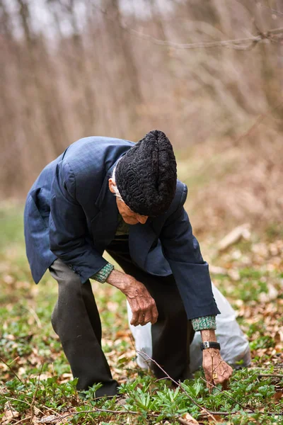 Oude man brandnetels plukken — Stockfoto