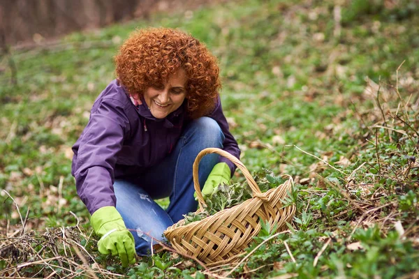 Woman picking nettles in a basket — Stock Photo, Image