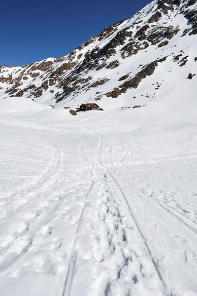Hó alatt a Sziklás-hegység — Stock Fotó