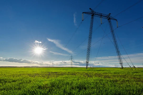 Vetefält vid solnedgången — Stockfoto