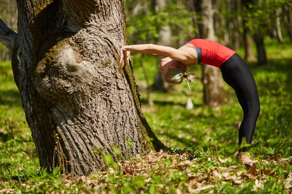 Young woman doing yoga exercises — Stock Photo, Image