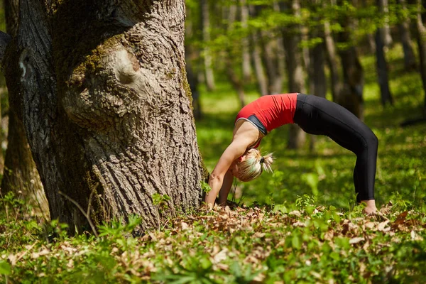 Giovane donna che fa esercizi di yoga — Foto Stock