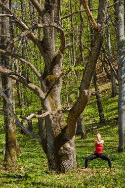 Yoga yapan genç bir kadın. 