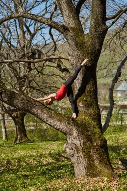 Yoga yapan genç bir kadın. 