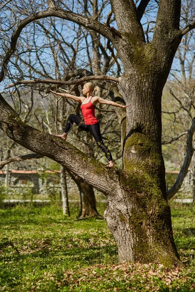 Yoga yapan genç bir kadın. — Stok fotoğraf
