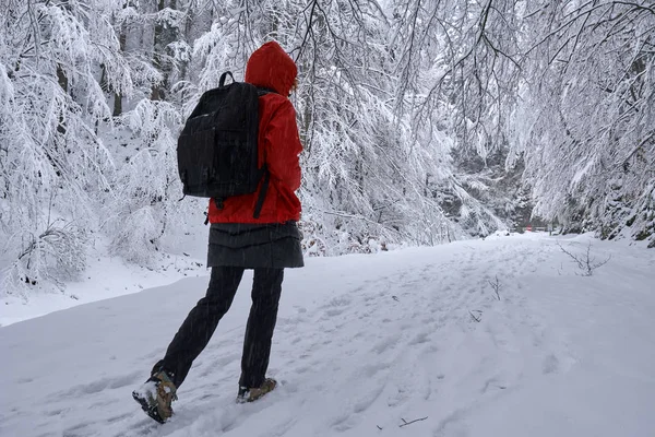 Mulher caminhante no rastro nevado — Fotografia de Stock