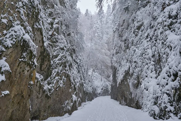 多雪的线索，通过峡谷 — 图库照片