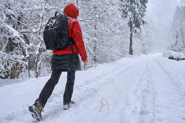 Wanderin auf verschneitem Weg — Stockfoto