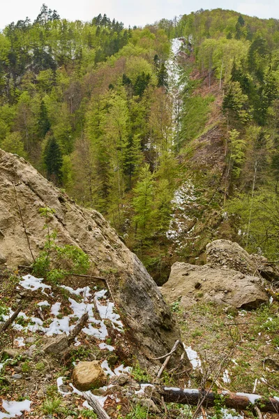 Гірський і листяний ліс — стокове фото