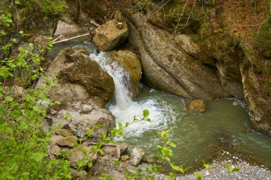 Dağ nehir orman yoluyla 