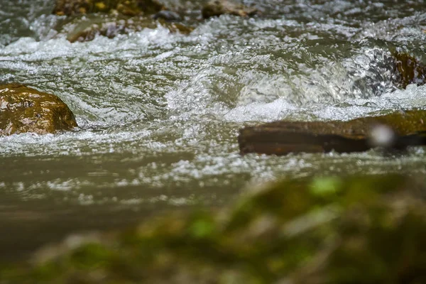 Fiume di montagna e rapide — Foto Stock