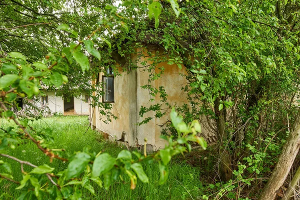 Verwoeste huis in bos — Stockfoto