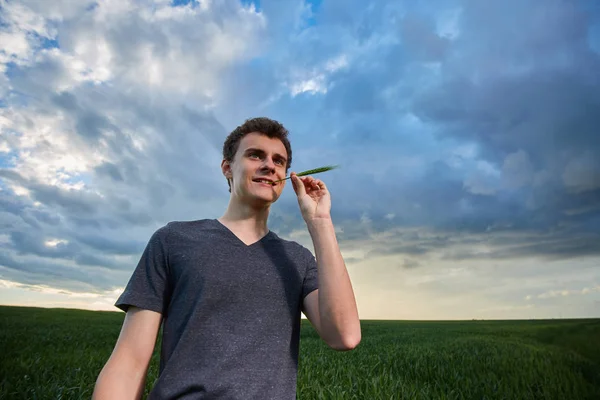 Buğday alanında duran genç — Stok fotoğraf