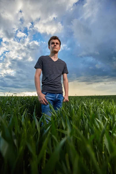 Teenager steht im Weizenfeld — Stockfoto