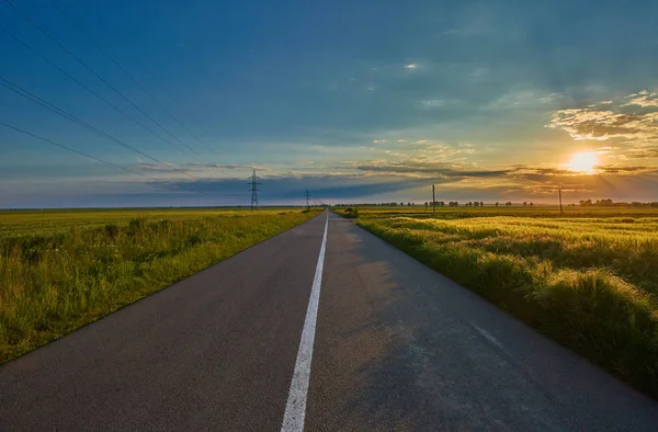 Empty road through wheat fields — Stock Photo, Image