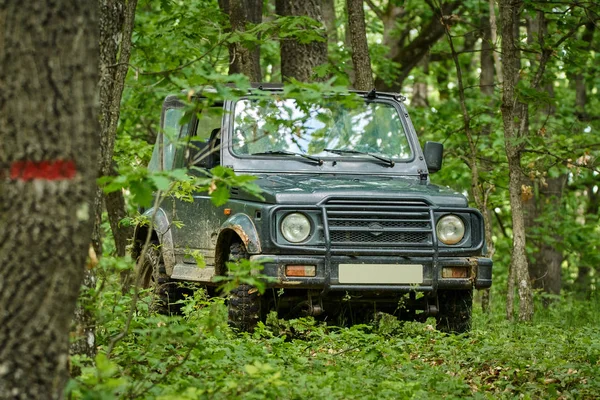 Malé offroader v lese — Stock fotografie