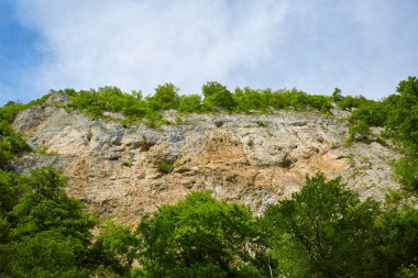 Ormanlarda kaplı dağları