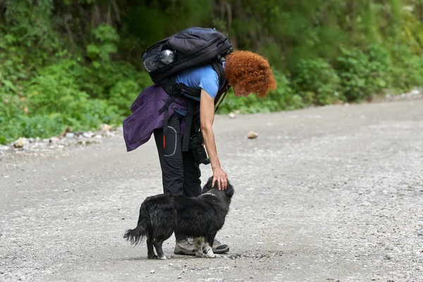 Hiker with dog in forest — Stock Photo, Image