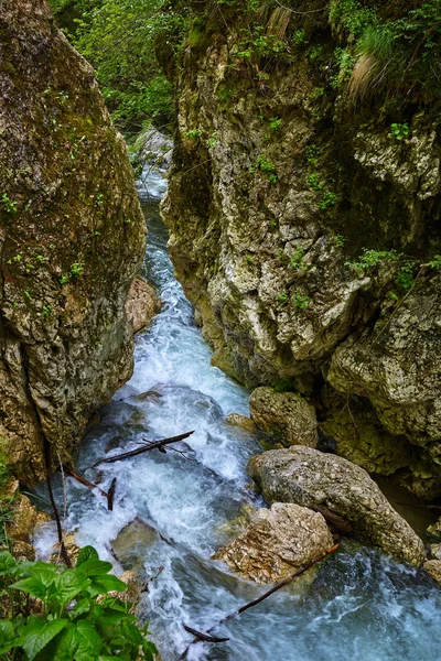 Річкові пороги в горах — стокове фото