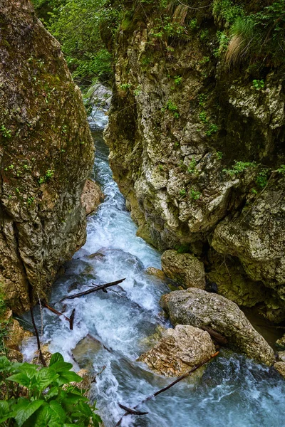 Correntes fluviais na montanha — Fotografia de Stock