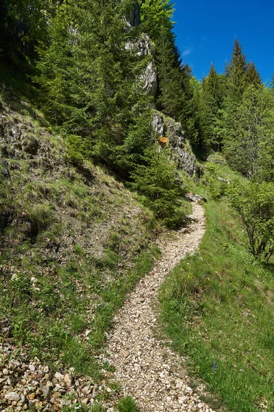 Hiking trail into mountains — Stock Photo, Image