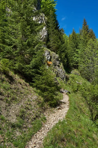 Пішохідна стежка в гори — стокове фото