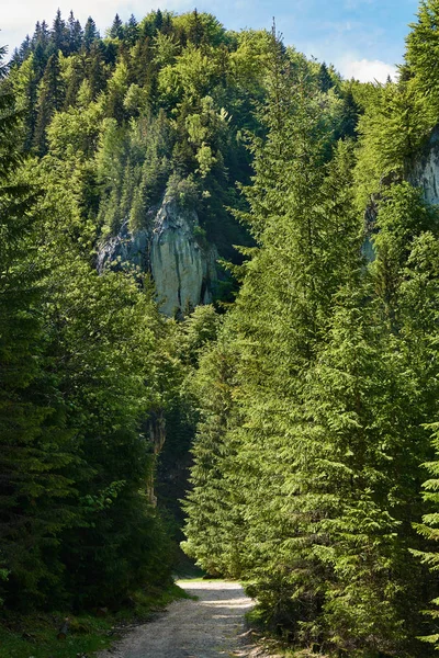 Turistická stezka do hor — Stock fotografie